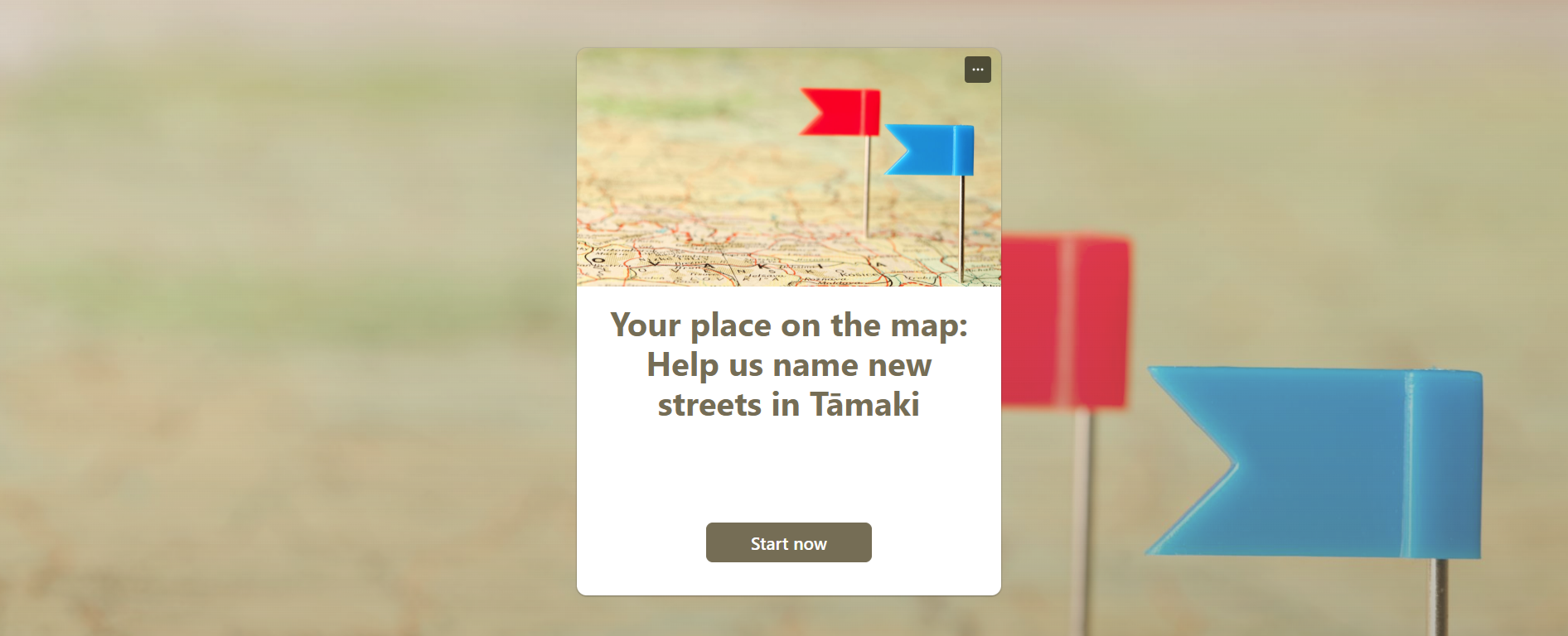 Your place on the map: Help us name new streets in Tāmaki